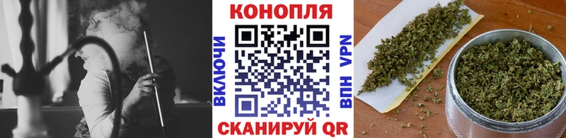 Шишки марихуана планчик цены наркотик Киселёвск